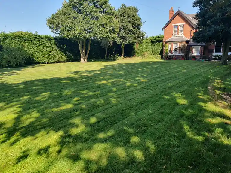 A wide shot of a meticulously striped, freshly mowed green lawn in front of a red brick house, with tree shadows cast across…
