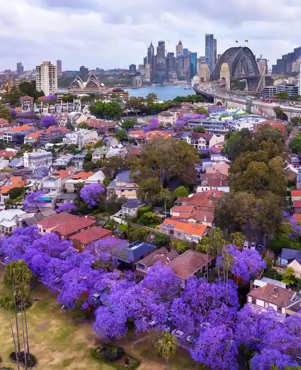 An aerial photo of Sydney, Australia, showing the iconic skyline with the Sydney Opera House and Harbour Bridge in the…