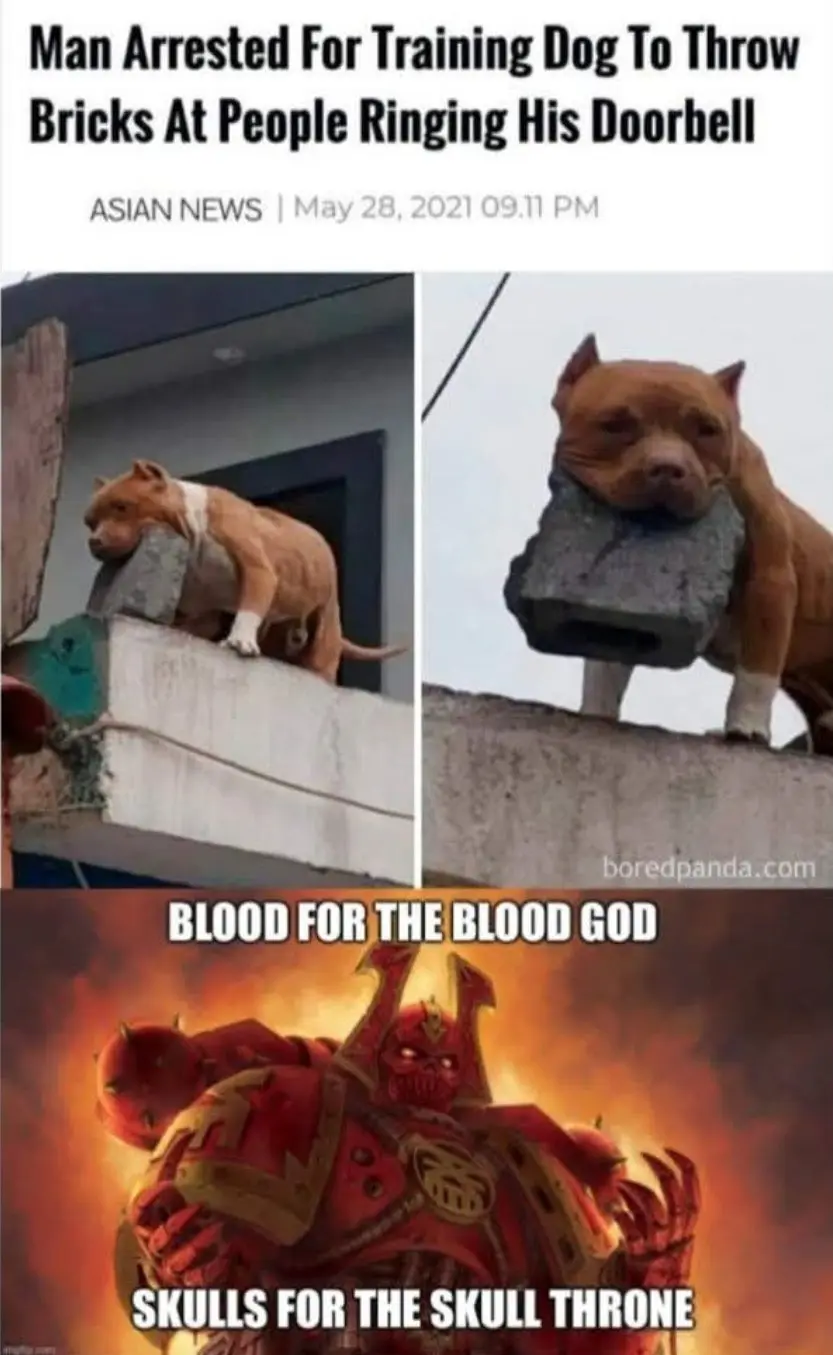The image is a three-panel meme. The top panel shows a news headline about a man arrested for training his dog to throw…
