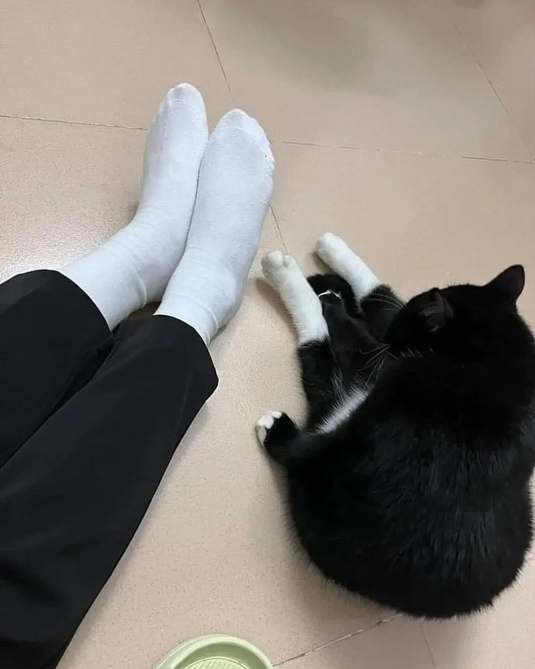 The Ultimate Sock Collection