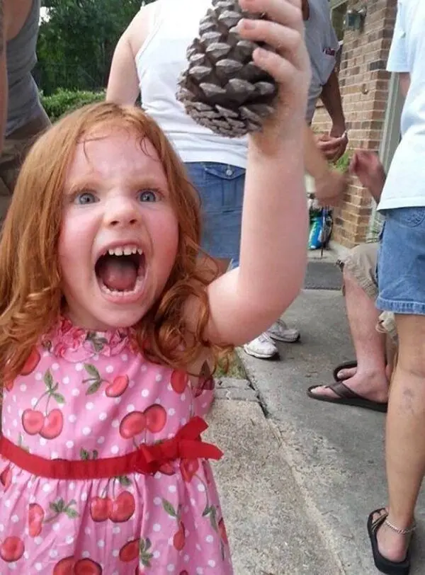 A young girl with red hair and a pink cherry-patterned dress is holding up a pinecone with a wide, angry-looking scream. The…