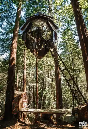 A geometric, multi-faceted treehouse suspended high in a forest of tall redwoods, accessed by a long ladder and a wooden…