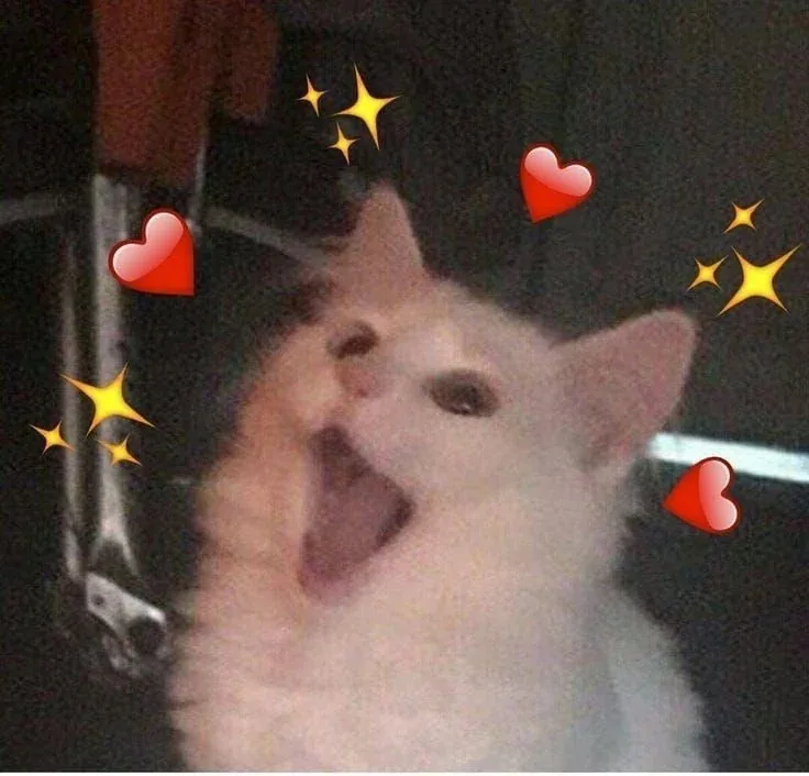 A white cat with its mouth wide open in an expressive yell or meow, surrounded by floating red heart emojis and yellow star…