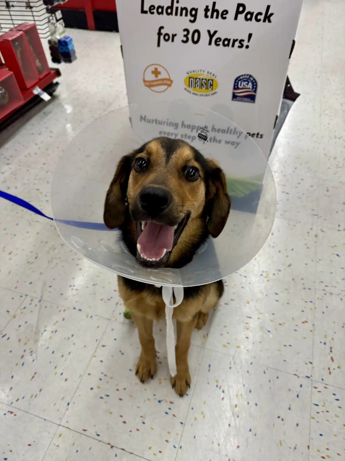 Urgent Appeal: Help Us Find This Guy a Place to Stay!