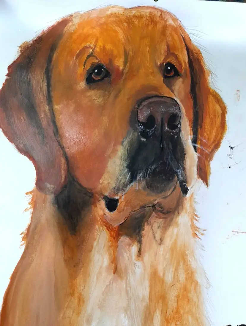 A watercolor painting of a golden retriever's head and shoulders, showing its characteristic golden fur, floppy ears, and…