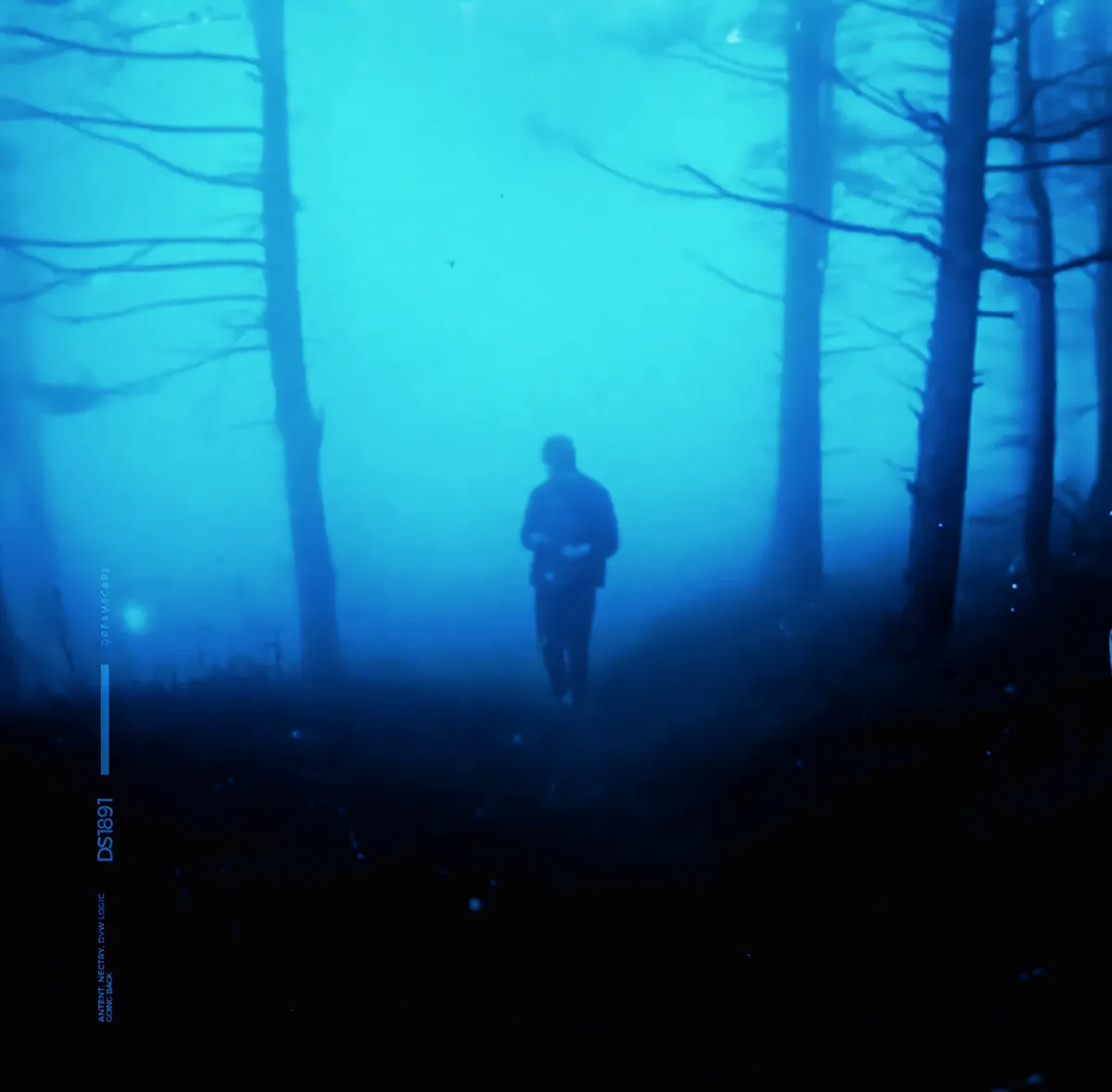A person walks alone through a dense, blue-hued forest shrouded in fog, with tall, bare trees lining a path. The image has a…