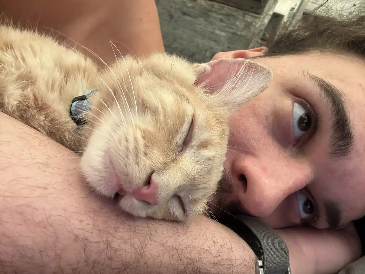 A close-up selfie shows a person holding a light orange tabby cat that is sleeping peacefully with its eyes closed and head…