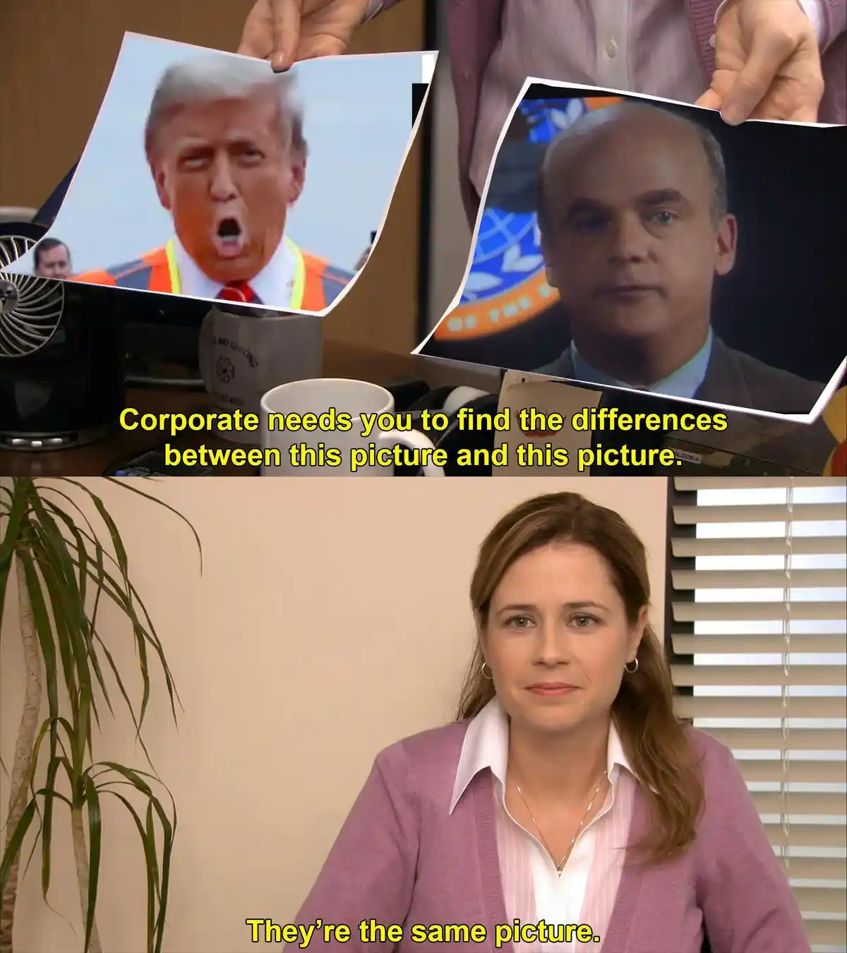 Two photos are held up, one of Donald Trump yelling and one of a bald man in a suit, with text asking to find differences…