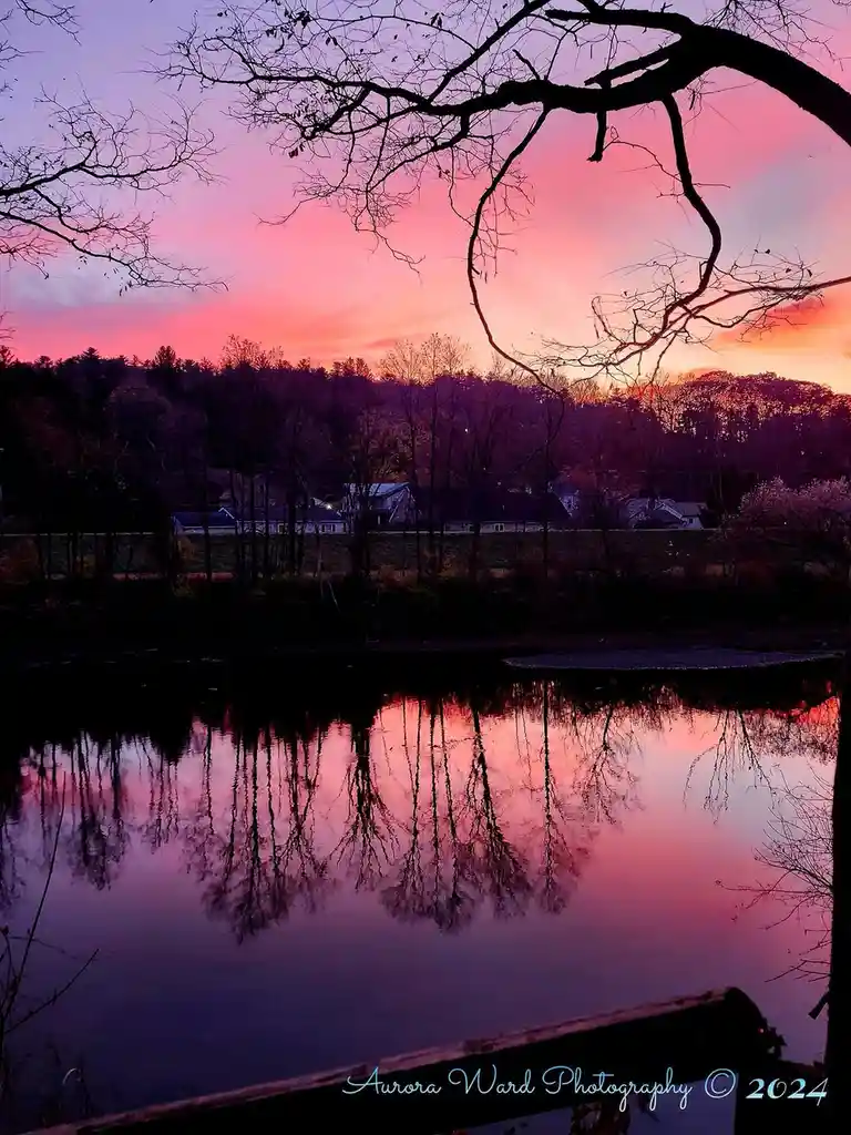 A serene sunset photograph shows a vibrant pink and purple sky reflected in a calm body of water, framed by the dark…
