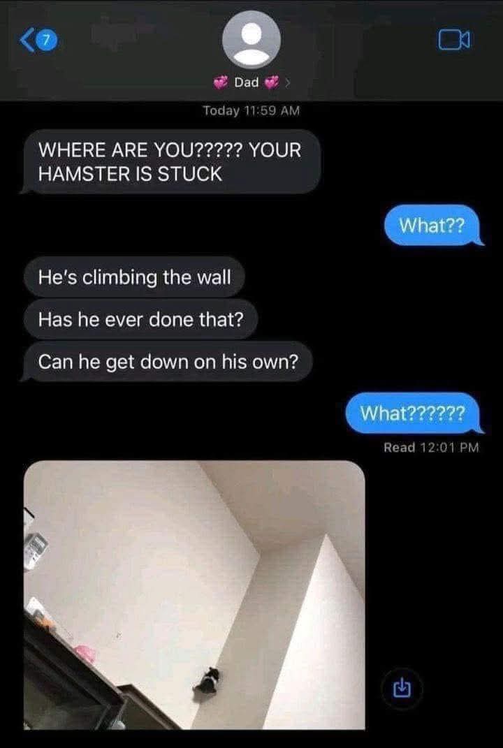 A screenshot of a text conversation between a child and their dad, where the dad urgently asks 'WHERE ARE YOU???? YOUR…