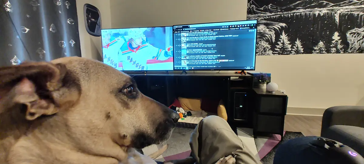 A large brown dog sits in the foreground, looking intently at a TV screen split into two views: one showing a hockey player…