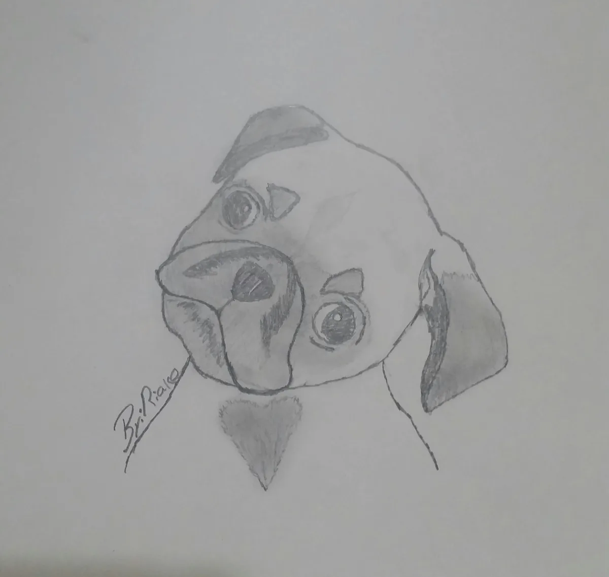 A pencil sketch of a pug's face with large, expressive eyes, a prominent snout, and floppy ears, drawn on plain paper. Below…