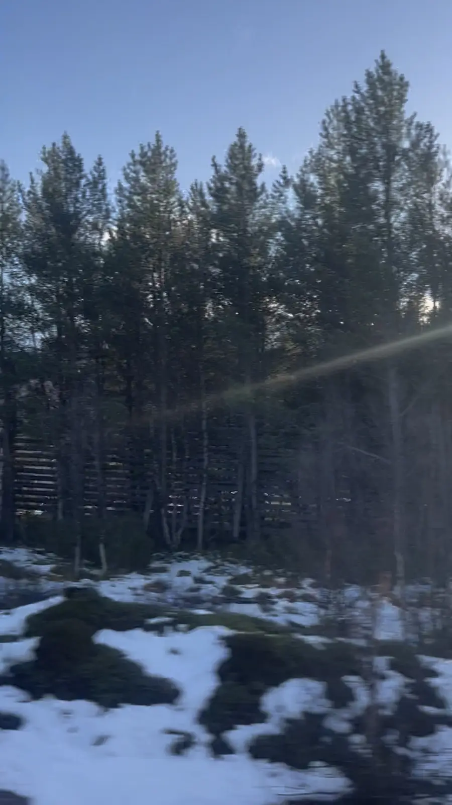 A blurry photo taken from a moving vehicle shows a snowy landscape with patches of snow on the ground and tall pine trees in…