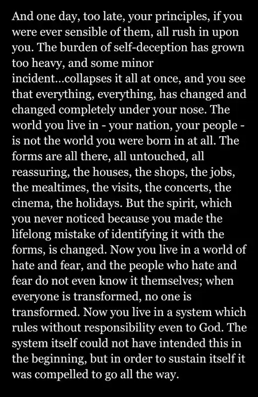 The image displays a block of white text on a solid black background, quoting a passage about a sudden, profound realization…