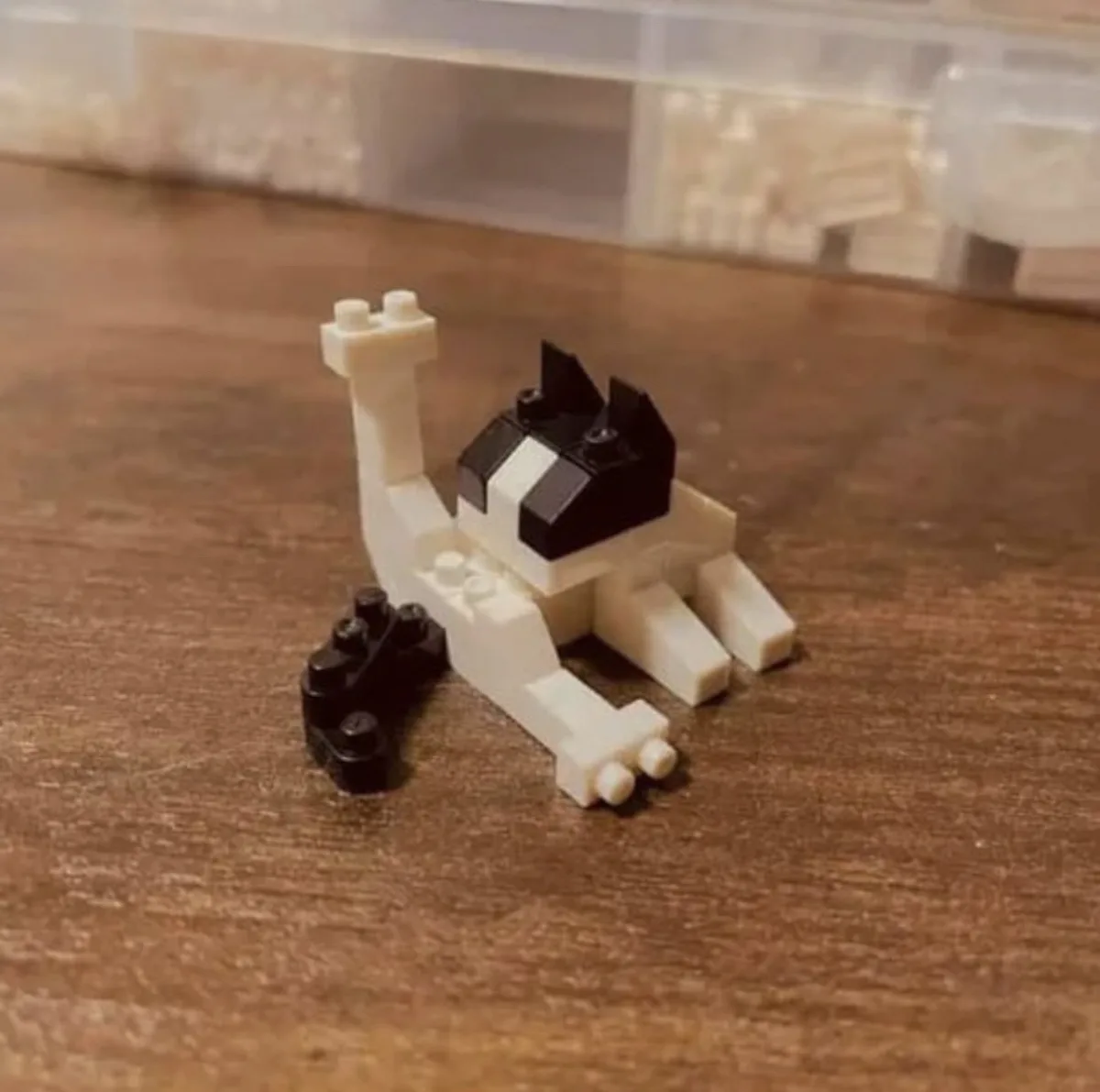 Just a Simple Meow