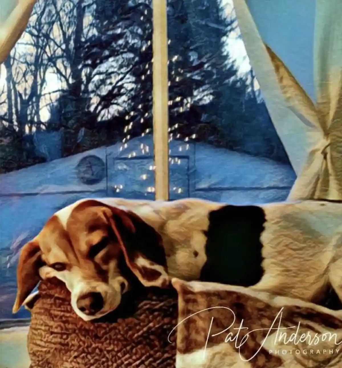 A brown and white beagle dog with floppy ears is sleeping soundly on a textured brown cushion, its head resting on the…