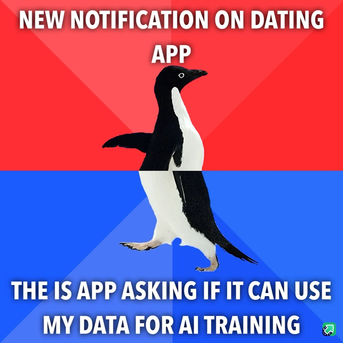 An image of an Adélie penguin standing against a red and blue background, with white text at the top reading 'NEW…