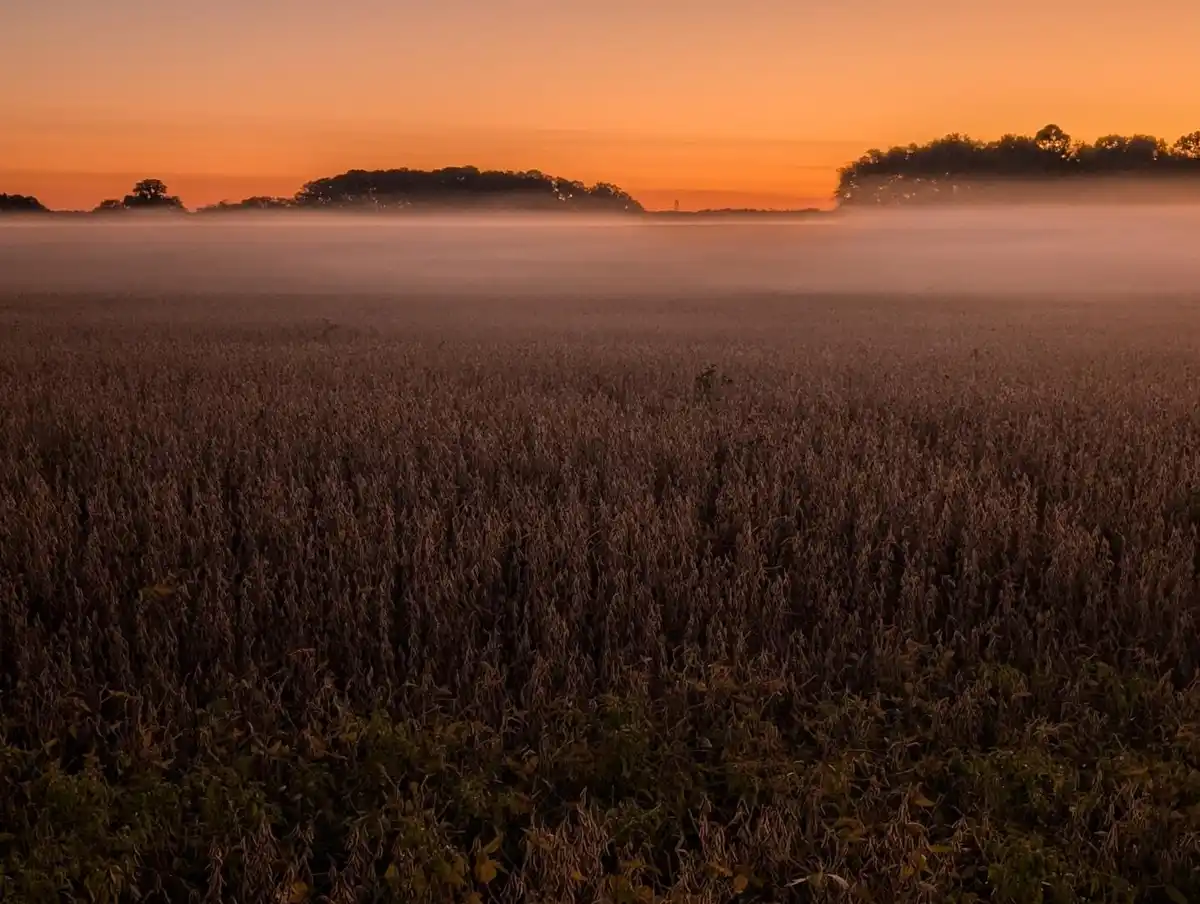 If you have to be awake, you might as well make the most of it...