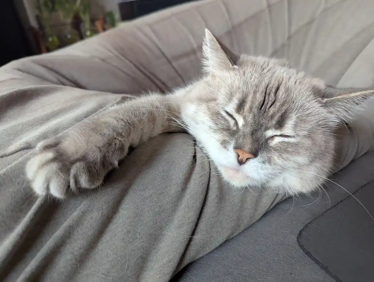 Feeling so comfy right now!