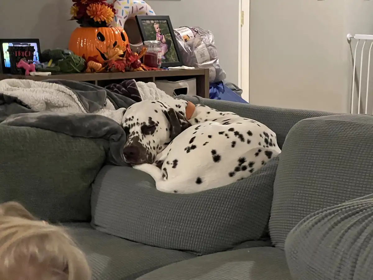 The Art of Nesting: A Cozy Retreat