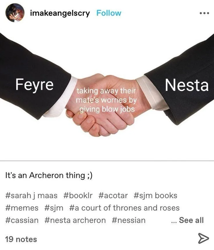 Two people in black suits shake hands, with the left arm labeled 'Feyre' and the right arm labeled 'Nesta'. Text overlaid on…