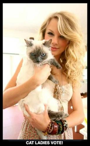 Cat Ladies Unite: Your Vote Matters (And Many of You Have Already Cast Yours!)