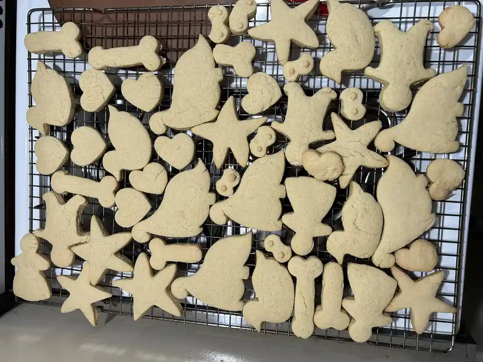 A cooling rack is filled with plain, uncolored sugar cookies shaped like bones, stars, hearts, ghosts, and other figures…