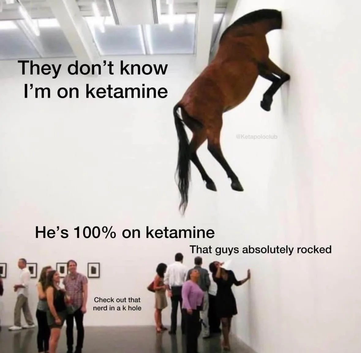 Kickstart Your Week with Memes: Edition #5