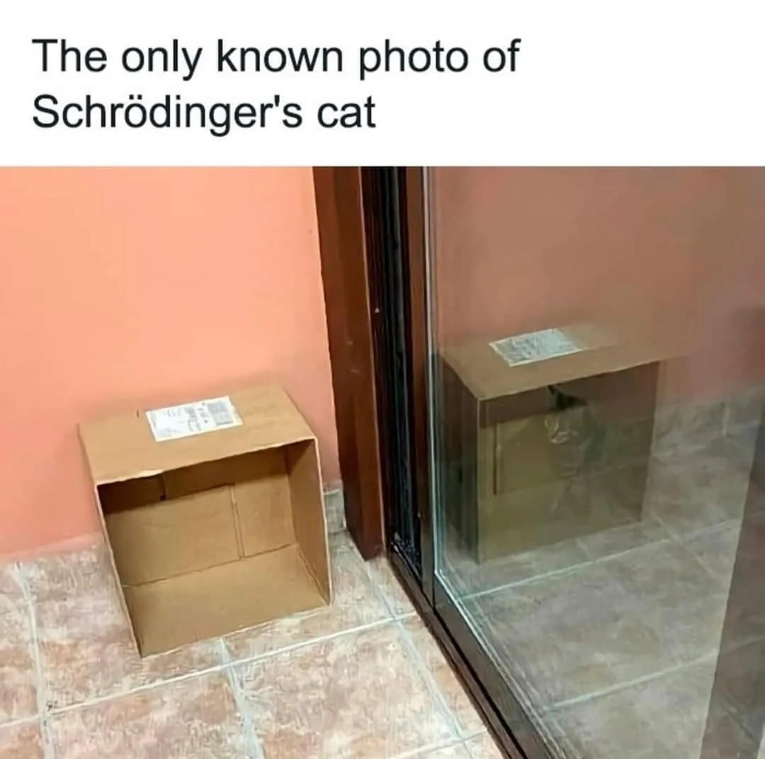 An empty cardboard box sits on tiled flooring next to a glass door, with its reflection visible in the glass. The reflection…