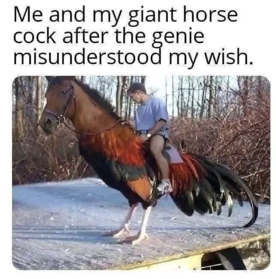 A man is riding a creature that is a hybrid of a horse and a rooster, with the horse's head and front legs, and the…