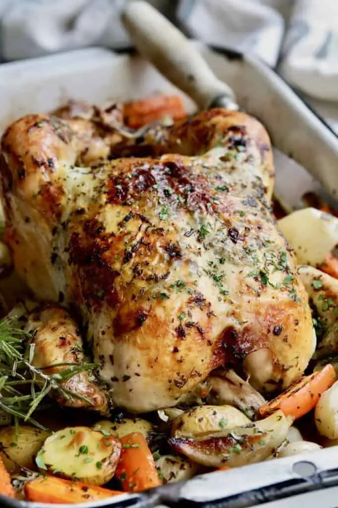 A roasted whole chicken with golden-brown skin and herbs sits in a baking dish surrounded by roasted carrots and potatoes…