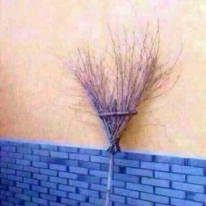 A rustic broom made of twigs is hanging on a wall, its bristles fanning out against a textured yellow surface above a blue…