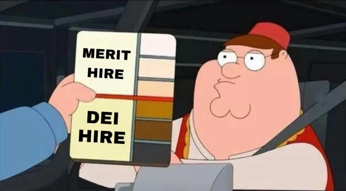 Peter Griffin from Family Guy sits in a car looking confused as a hand holds up a split sign. The top half reads 'MERIT…