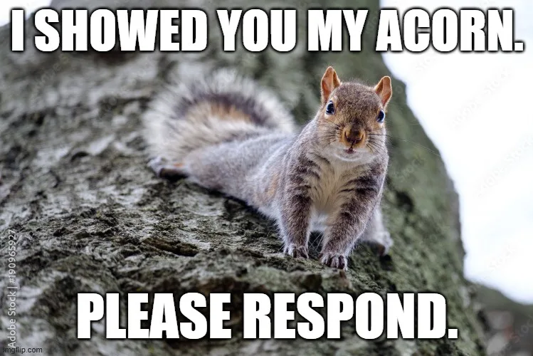 A close-up photo of a gray squirrel perched on a tree trunk, looking directly at the camera with a seemingly pleading or…