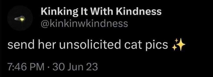 A screenshot of a tweet from the account 'Kinking It With Kindness' (@kinkinwkindness) that reads 'send her unsolicited cat…