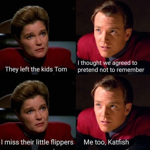 A four-panel meme using stills of Captain Kathryn Janeway and Commander Chakotay from Star Trek: Voyager. In the top-left…