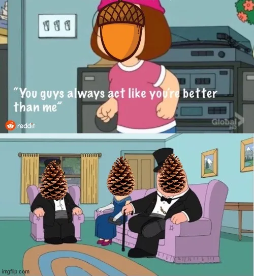 Top panel: A cartoon woman with an acorn mask and pink hat stands defiantly, overlaid with text: 'You guys always act like…