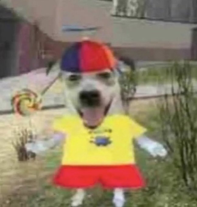 A blurry image of a dog wearing a red and blue baseball cap, a yellow t-shirt with a small graphic, and red shorts, standing…