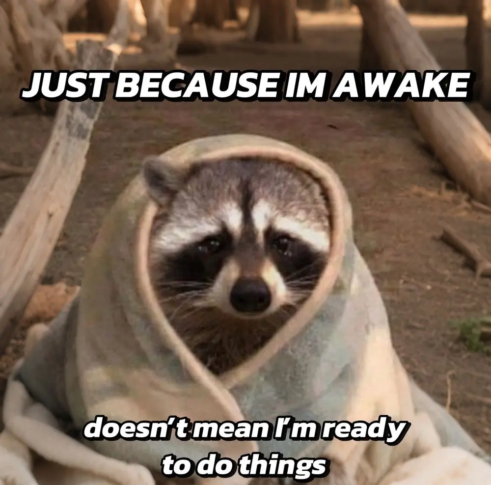 A raccoon is wrapped snugly in a light-colored blanket, peeking out with a tired, sleepy expression. The text overlaid on…
