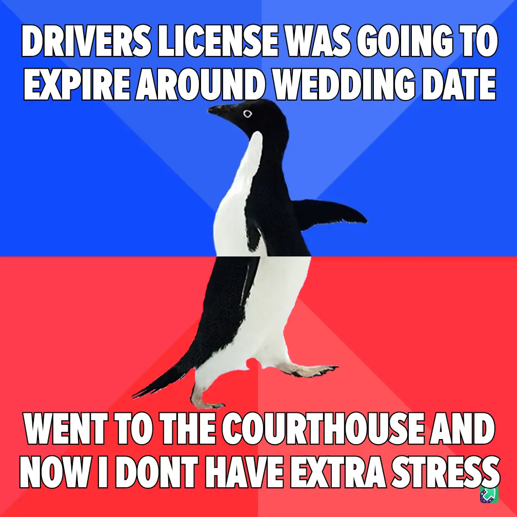 A penguin stands centered against a split blue and red background, with bold white text at the top stating 'DRIVERS LICENSE…