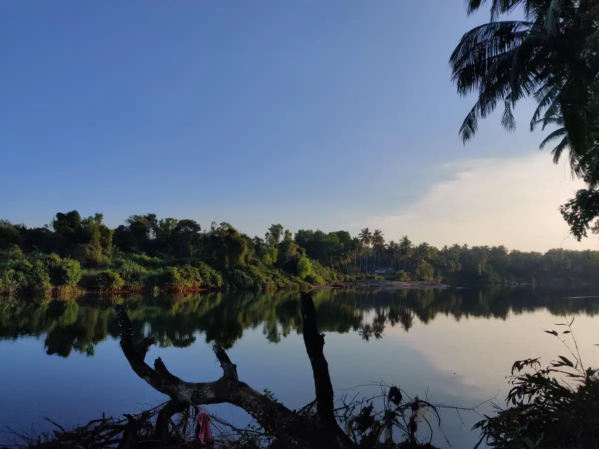 Nature's Splendor: A Glimpse of Perfection