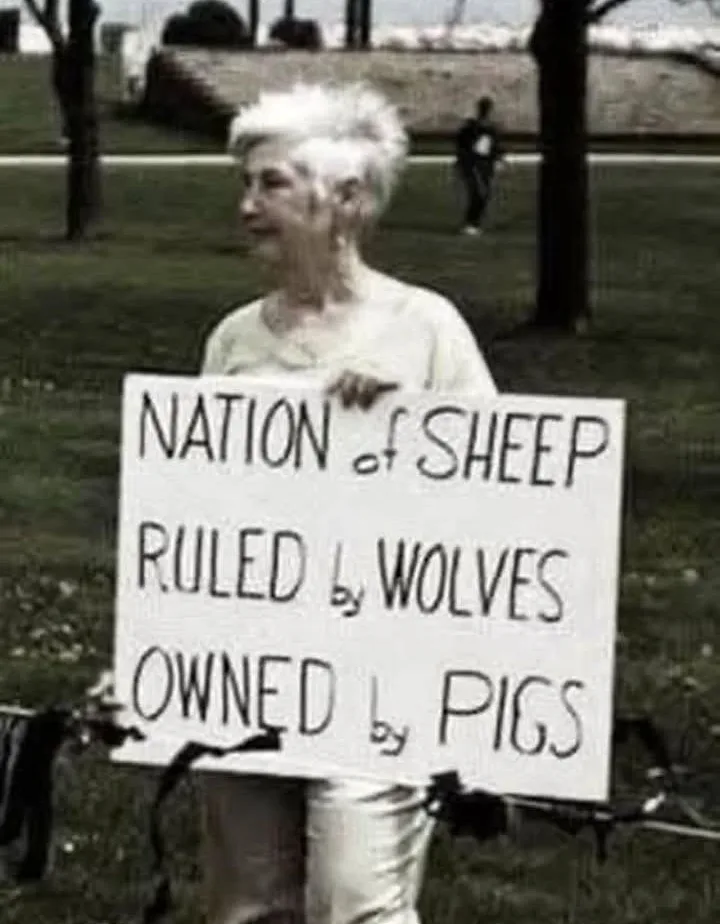 An elderly woman with short white hair stands outdoors holding a handmade sign that reads 'NATION of SHEEP Ruled by WOLVES…