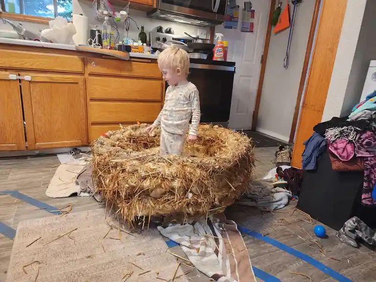 A young child with blonde hair stands inside a large, messy nest made of straw and twigs, built on a rug in a kitchen. The…