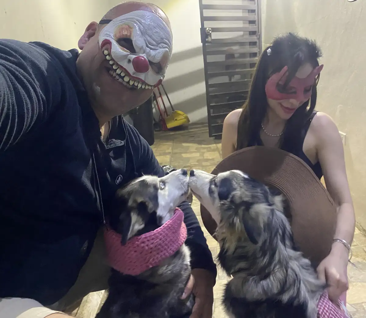 A man wearing a scary clown mask and a woman wearing a pink devil mask are posing with two dogs. The dogs are wearing pink…