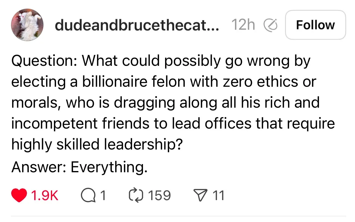 A screenshot of a social media post by 'dudeandbrucethecat...' showing a question about electing a corrupt billionaire and…