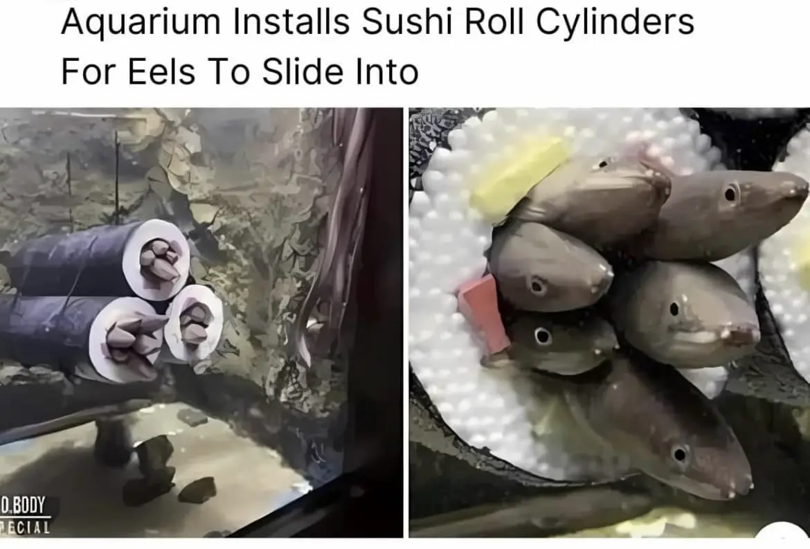 The image is split into two panels. The left panel shows several large, cylindrical objects resembling sushi rolls submerged…