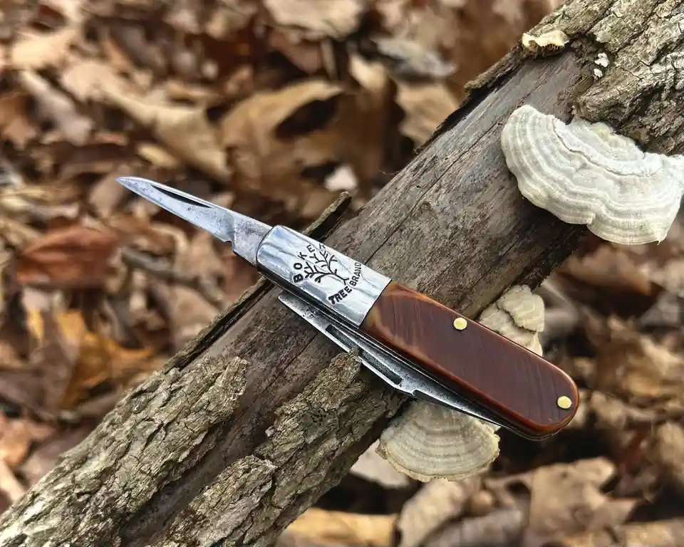A Boke Tree Brand folding knife with a brown wooden handle and silver blade rests on a weathered tree branch covered in…
