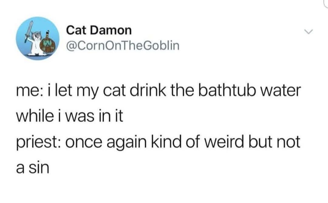 A screenshot of a tweet by 'Cat Damon' (@CornOnTheGoblin) showing a humorous exchange where the user admits letting their…