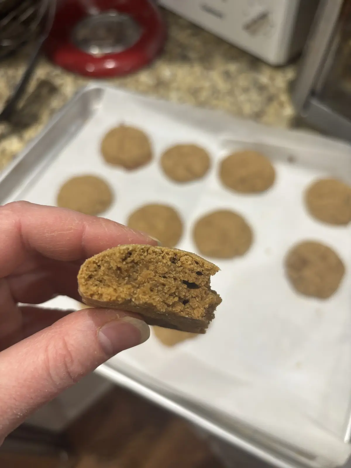 A hand holds up a half-eaten, very dense, brown cookie, revealing a crumbly, rock-like interior. In the blurred background…