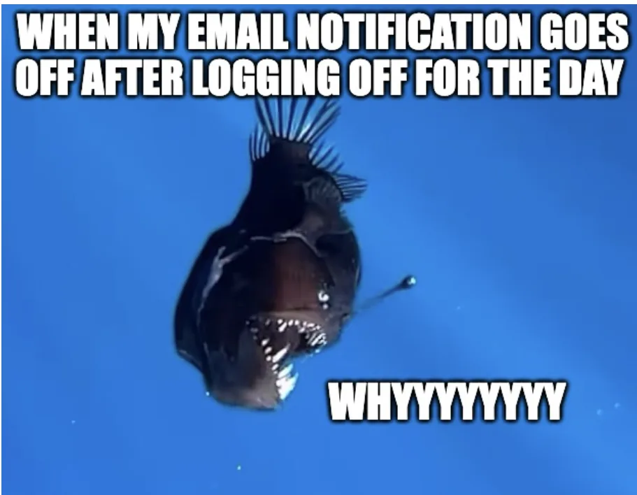 A dark, menacing fish with sharp teeth and spiky fins is shown against a blue background, looking shocked or angry. The text…